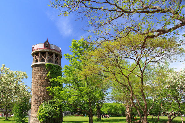 新緑の百合が原公園