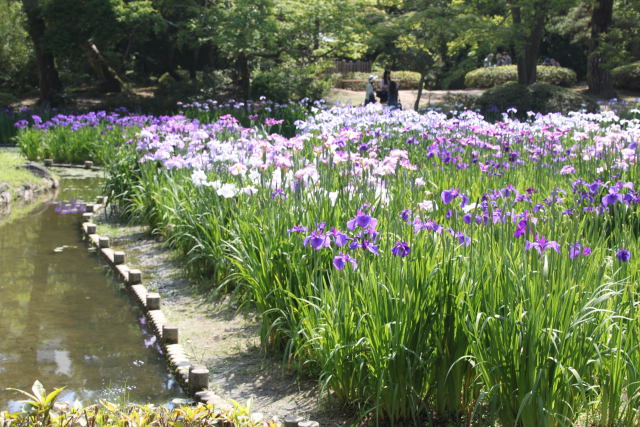 1書部塩の風景