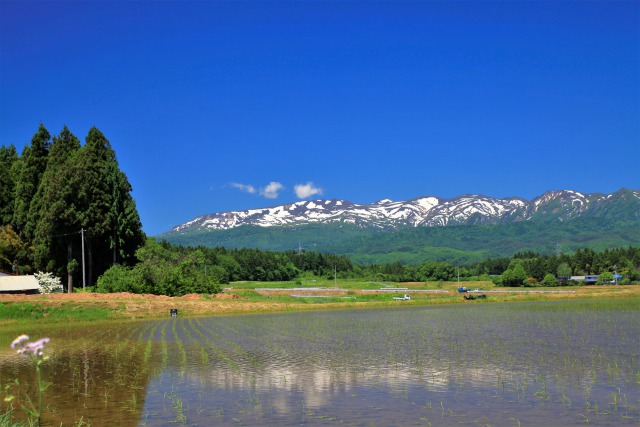 いなかの風景