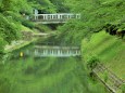 松川と桜橋