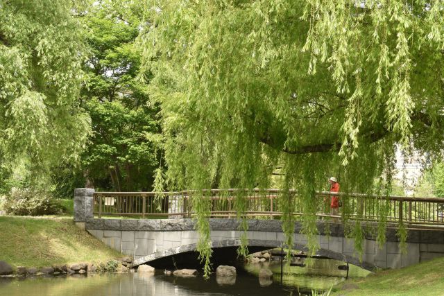 中島公園