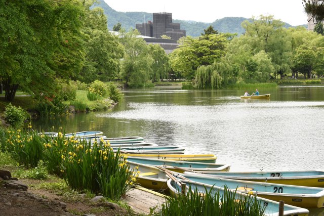 中島公園 菖蒲池