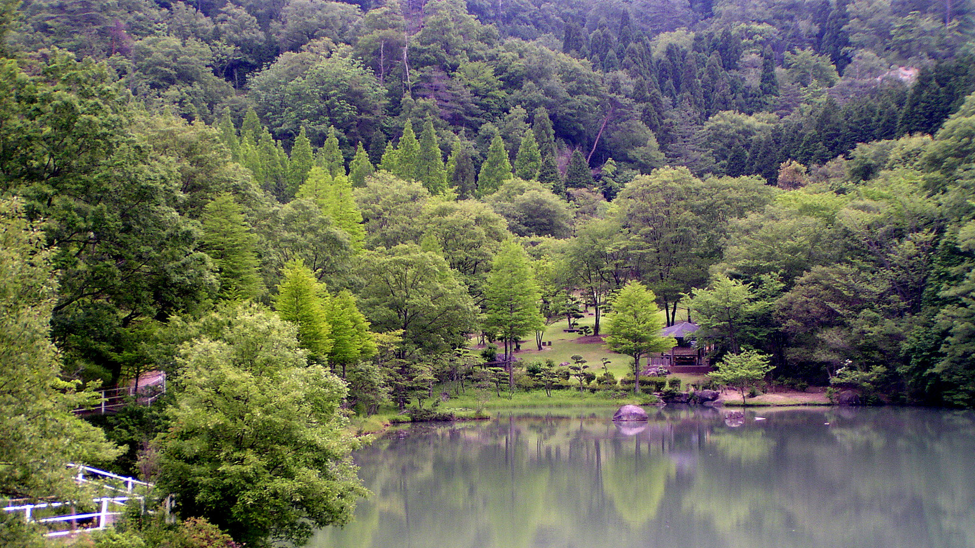 日本の風景 新緑のみたけの森 壁紙19x1080 壁紙館