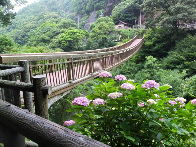 滝を巡る遊歩道の橋