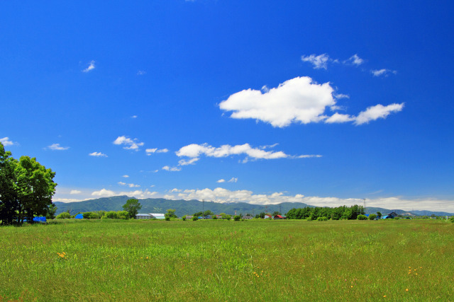 初夏の石狩平野 3