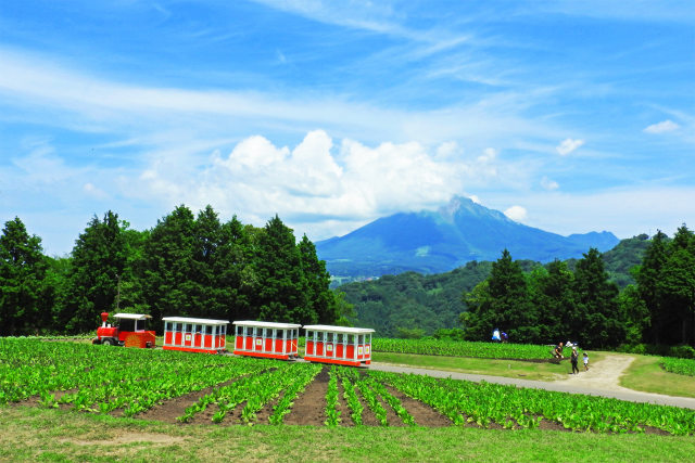 花回廊から大山を望む