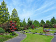 公園の一角2-とっとり花回廊