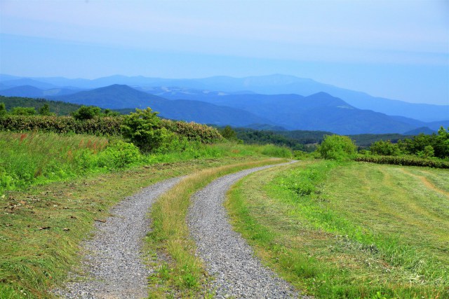 種山高原