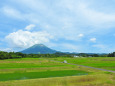 高原の棚田と大山