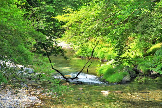 静かな清流