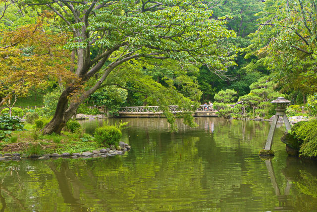 初夏の有栖川宮記念公園