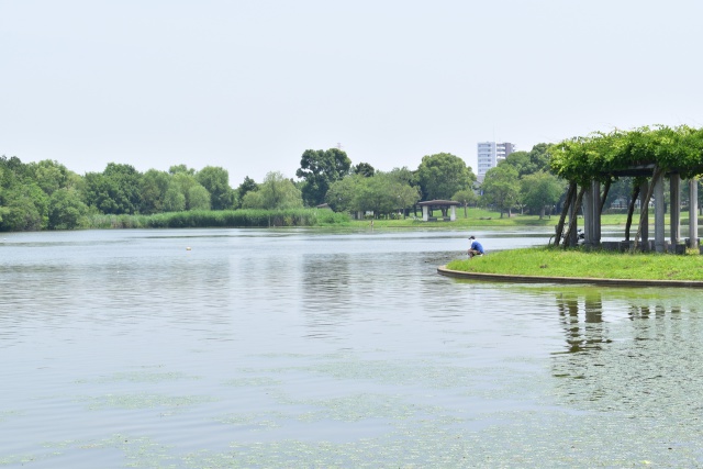 水元公園2