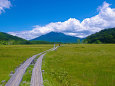 尾瀬 緑の湿原