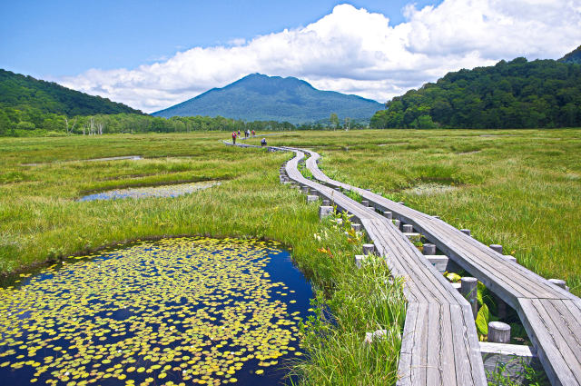 夏の尾瀬ヶ原を行く