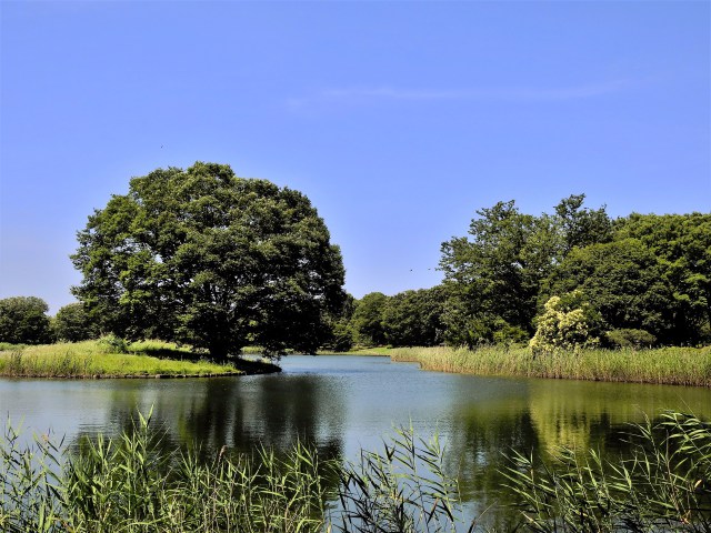 水辺の風景