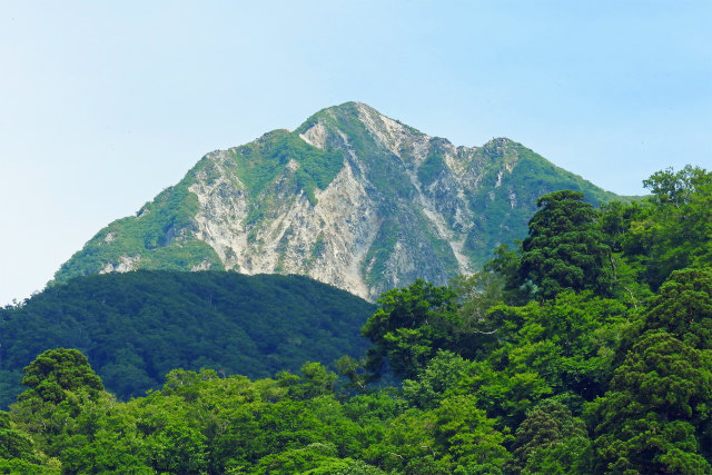 烏ヶ山 初夏