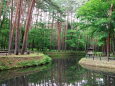 池の散歩道