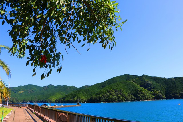 夏の尾鷲市