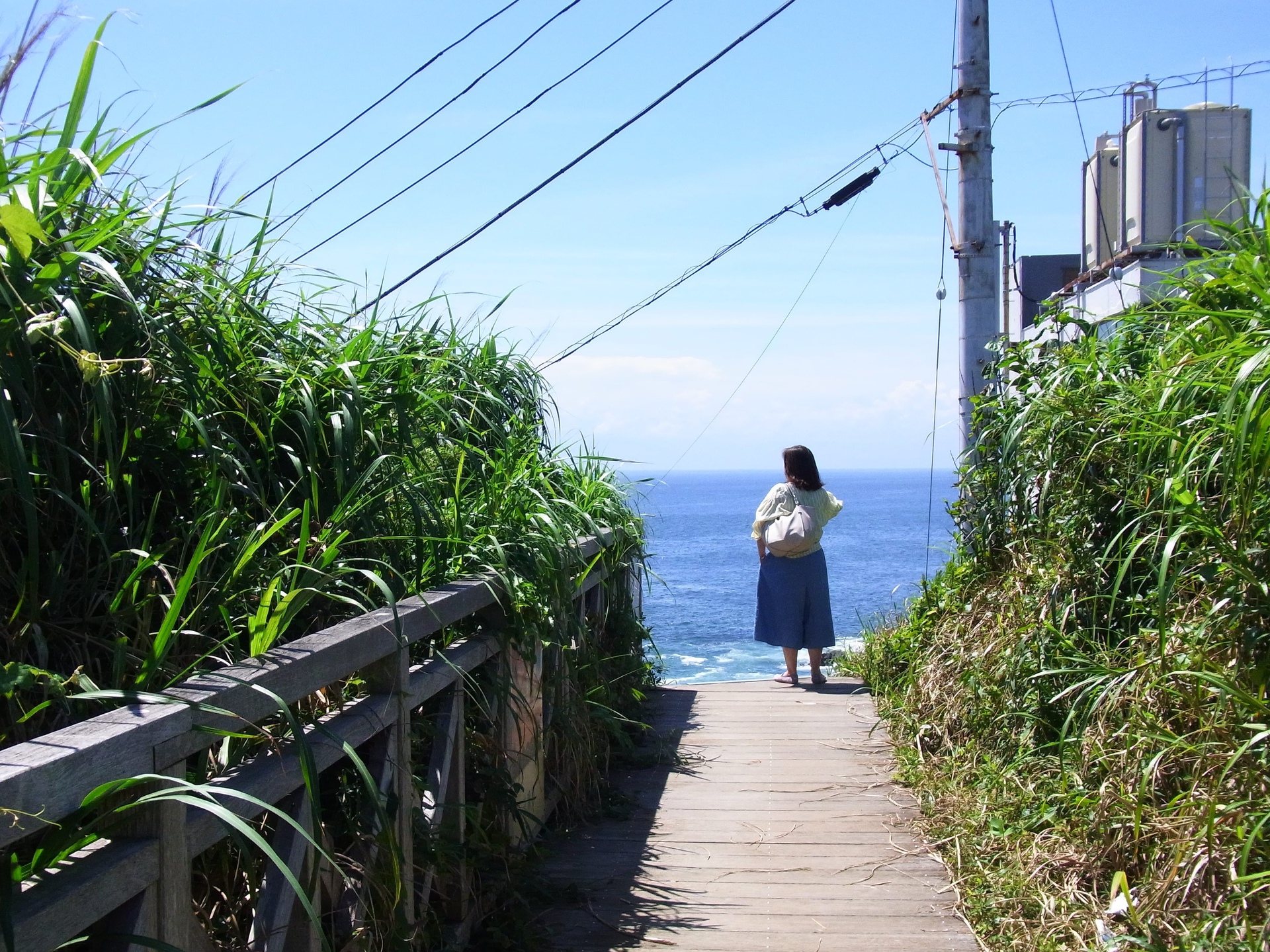 日本の風景 海へ続く道 壁紙19x1439 壁紙館