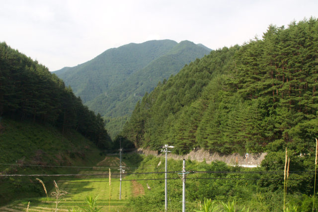 夏の三才山