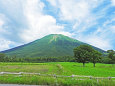 牧場から観る大山