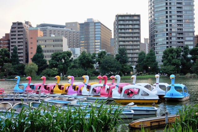 不忍池の風景