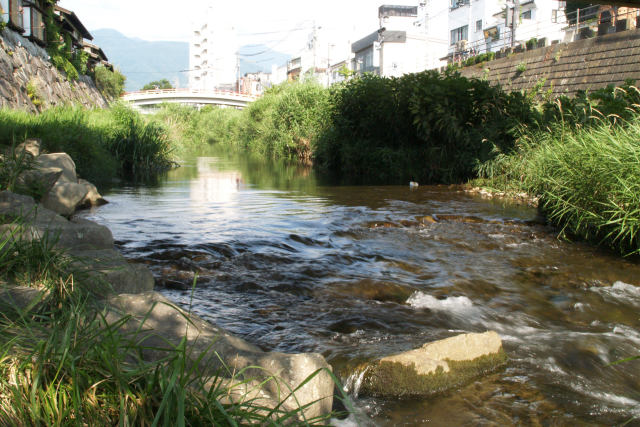 女鳥羽川の清流