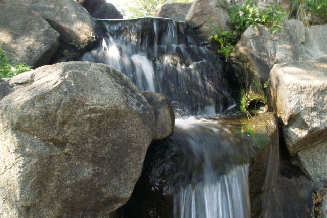 信州の涼しい名水