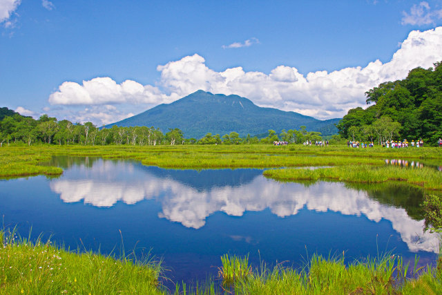 夏の尾瀬