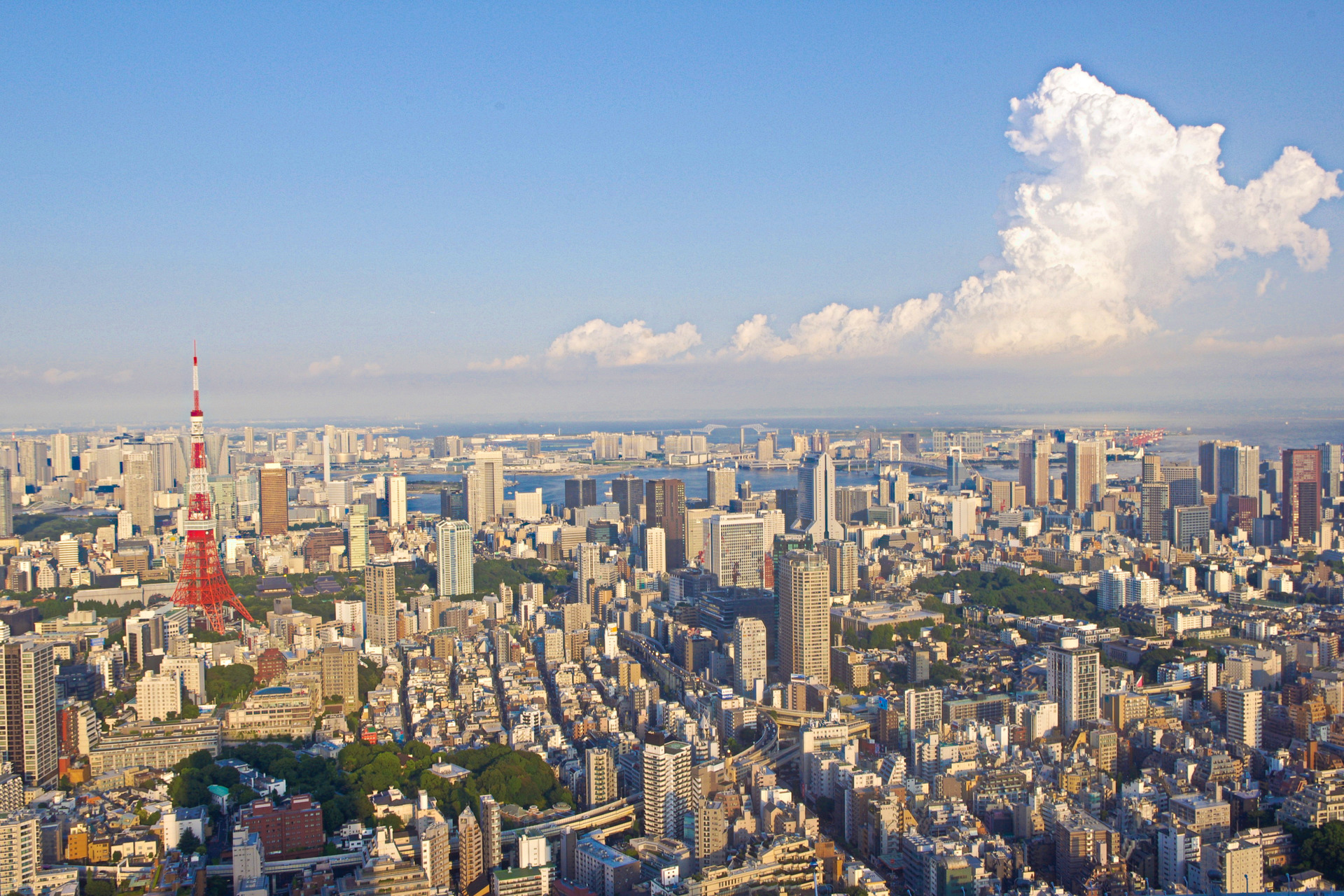 都市 街 室内 東京都心から東京湾一望 壁紙19x1280 壁紙館