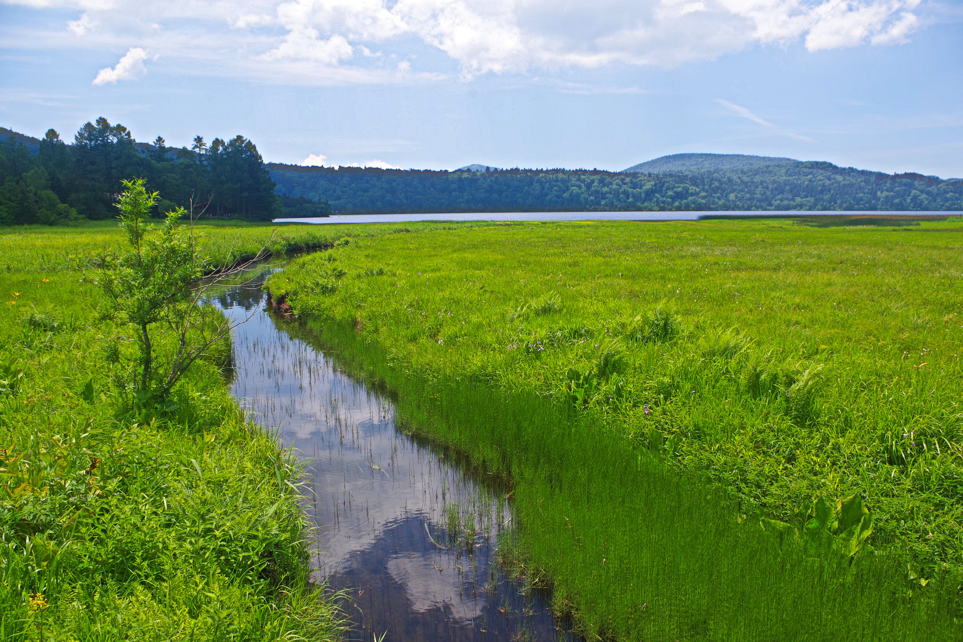 日本の風景 大江湿原から尾瀬沼 壁紙19x1280 壁紙館