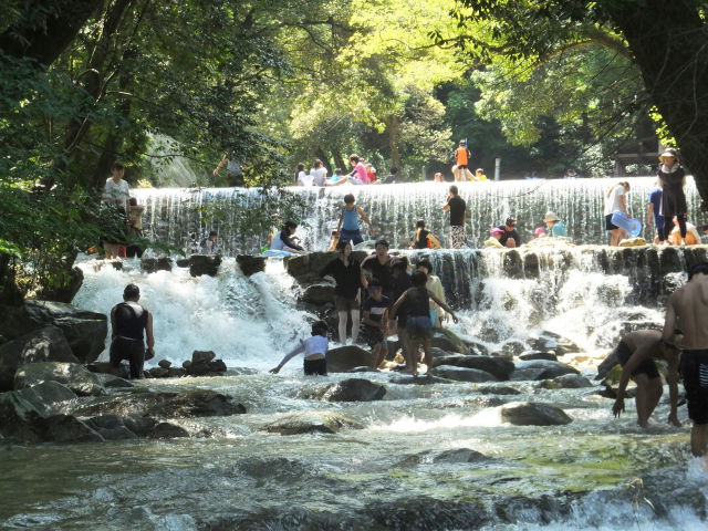 涼しい、楽しい水遊び