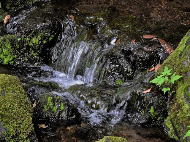 御茶ノ水