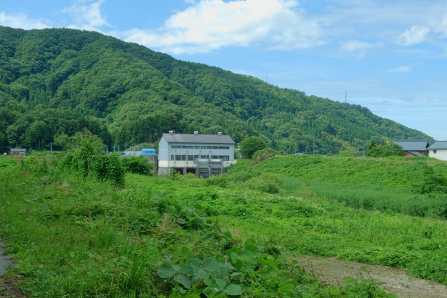 夏の狐川水門