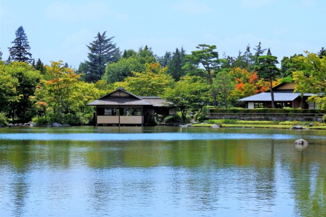 日本庭園水辺の風景