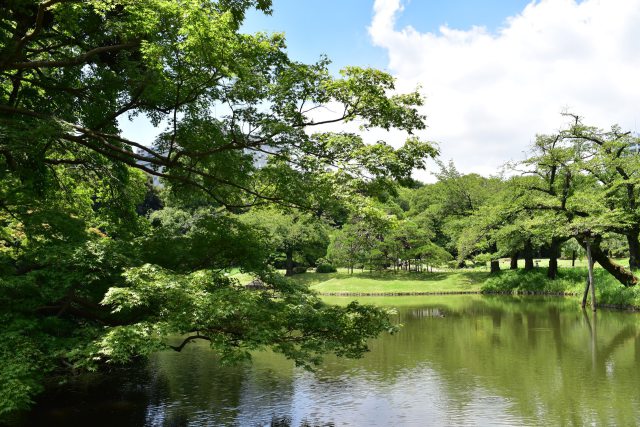 小石川後楽園