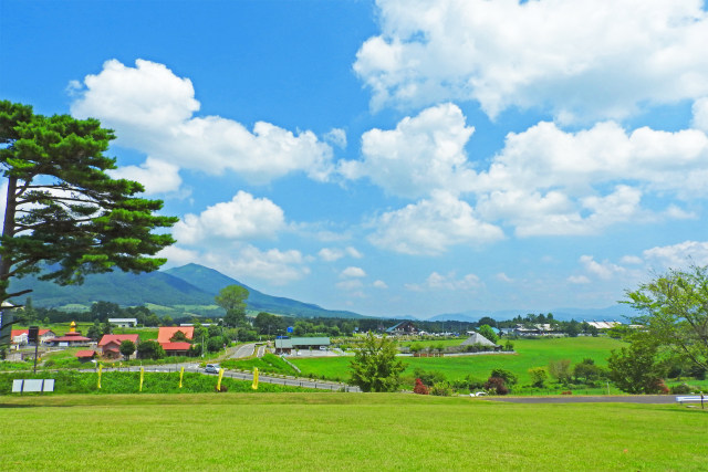 夏の蒜山高原