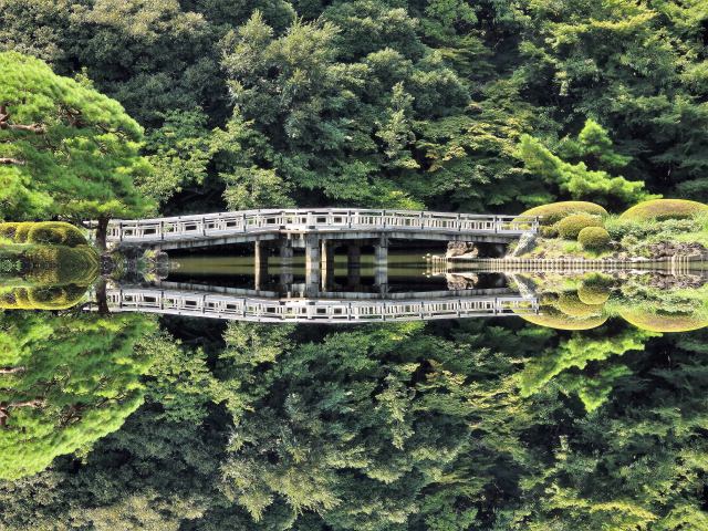 上の池の風景