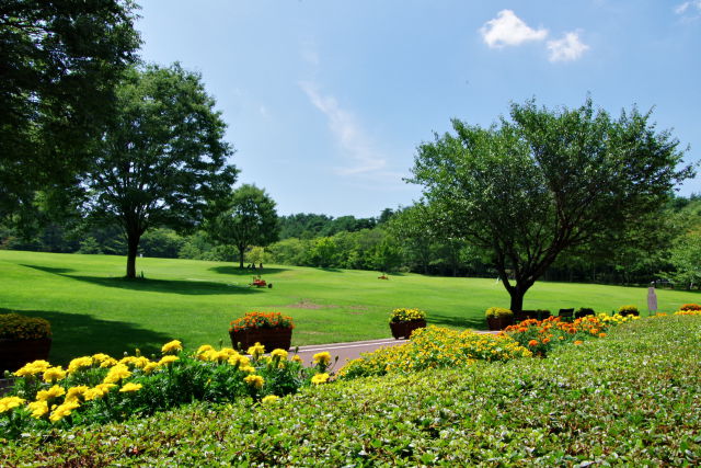 夏の公園