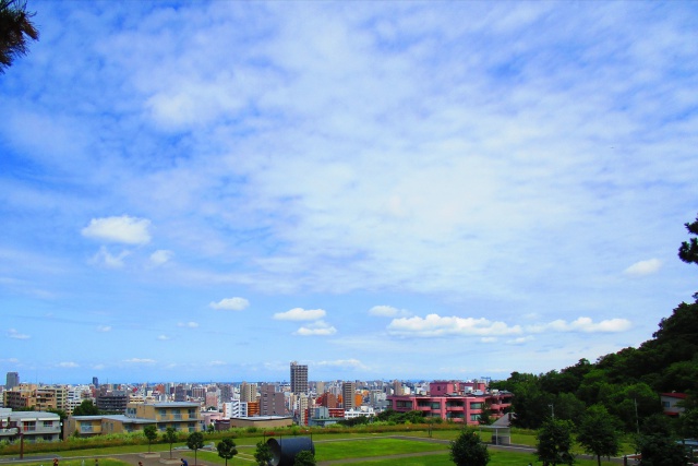 8月の大空