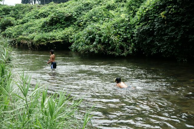 真夏の山竹田