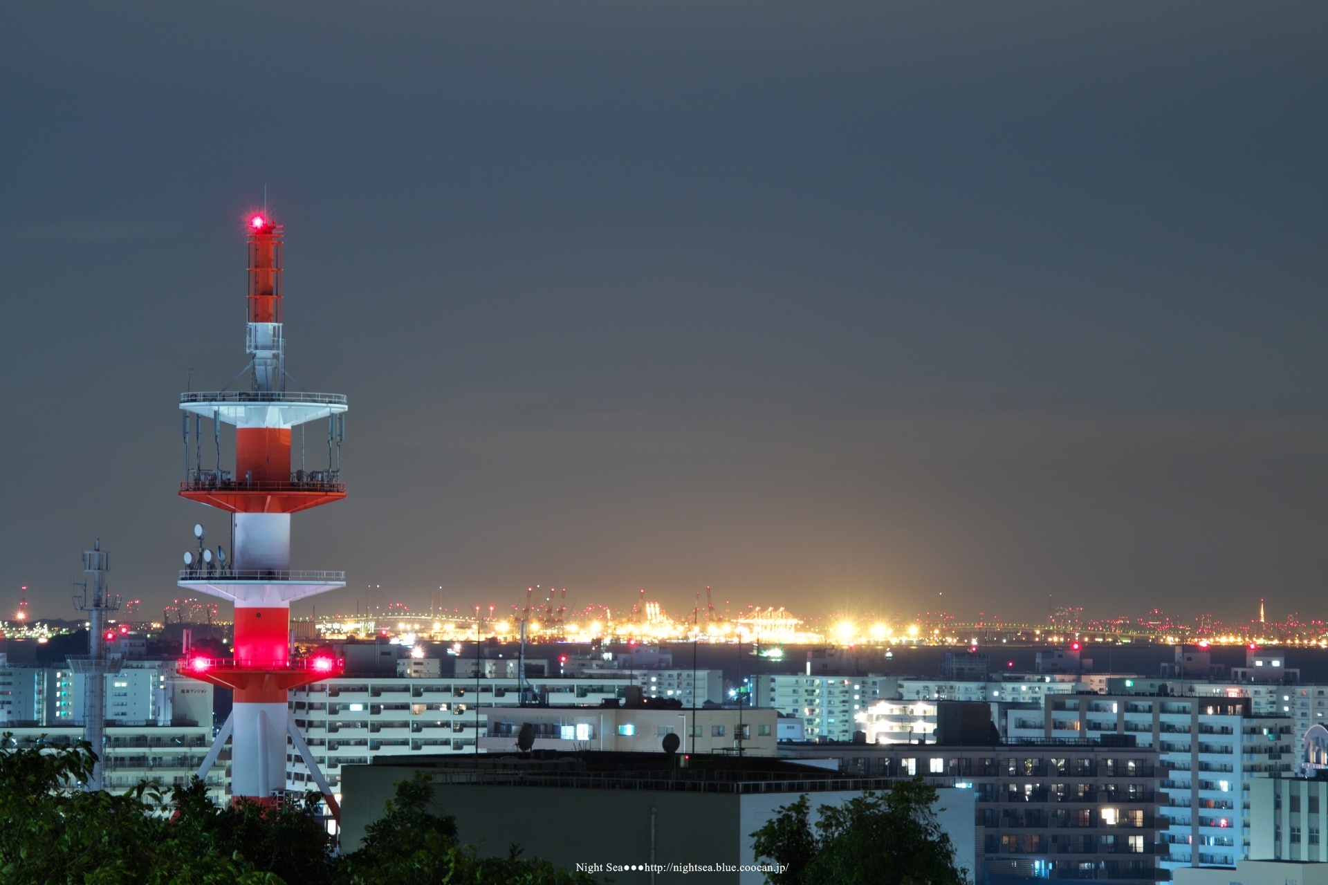 夜景 花火 イルミ 横須賀中央公園 壁紙19x1280 壁紙館