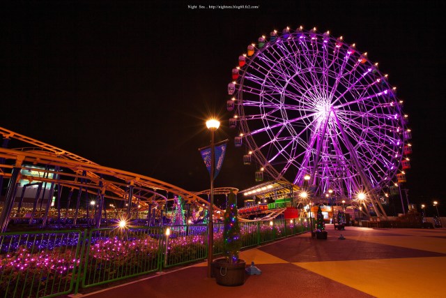 夜空を彩る