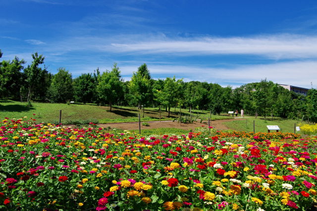 公園散歩