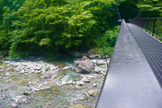 木の俣川と吊り橋