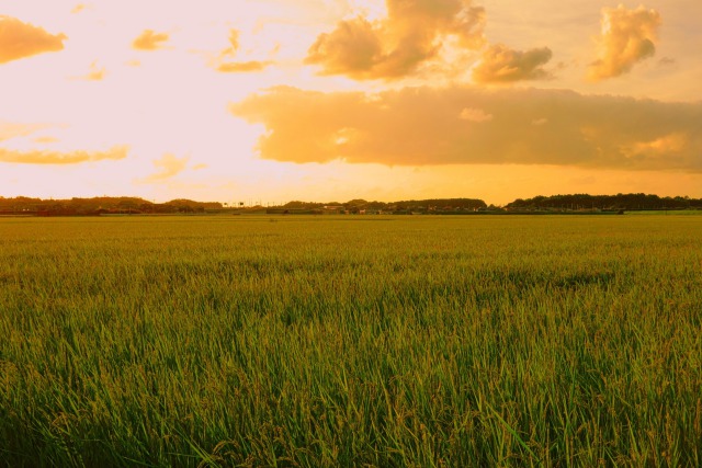 初秋、江上の夕暮れ