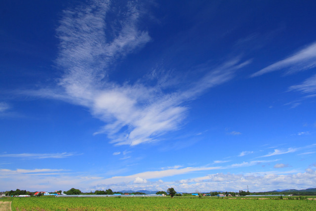 北の大空～石狩平野