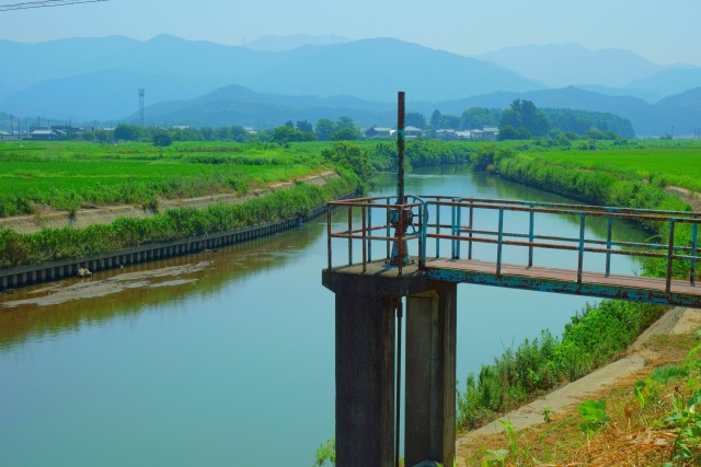 夏の清間を流れる竹田川