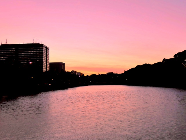 日比谷濠の夕景