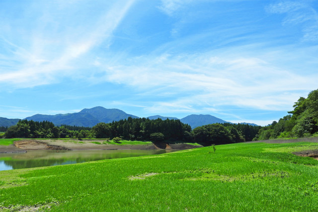 大山池 夏3